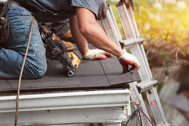 Best Roof Gutter Cleaning  in Sebastian, FL